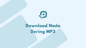 cover_nada_dering Playdown